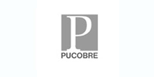 03_Pucobre